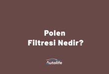 Polen Filtresi Nedir?