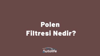 Polen Filtresi Nedir?