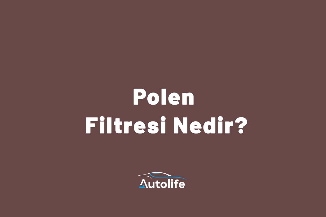 Polen Filtresi Nedir?