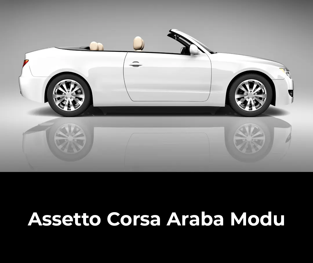 Assetto Corsa Araba Modu
