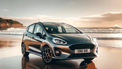 Fiesta v Benzin & LPG Periyodik Bakım