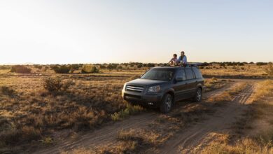 Aileler için en güvenli ve konforlu suv araçlar